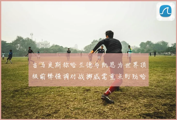 吉马良斯称哈兰德与凯恩为世界顶级前锋强调对战挪威需重点盯防哈兰德