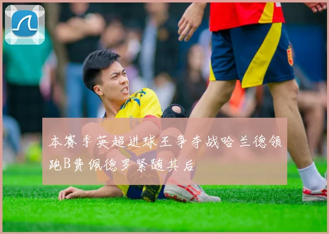 本赛季英超进球王争夺战哈兰德领跑B费佩德罗紧随其后