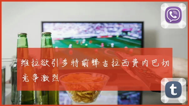 维拉欲引多特前锋吉拉西费内巴切竞争激烈